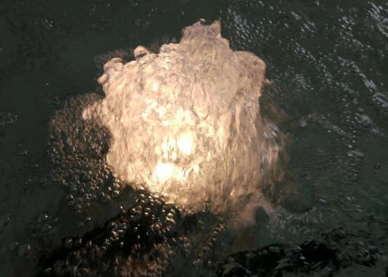 80 L/M инжекторная трубка фонтана танцев 1 дюйма с лампой